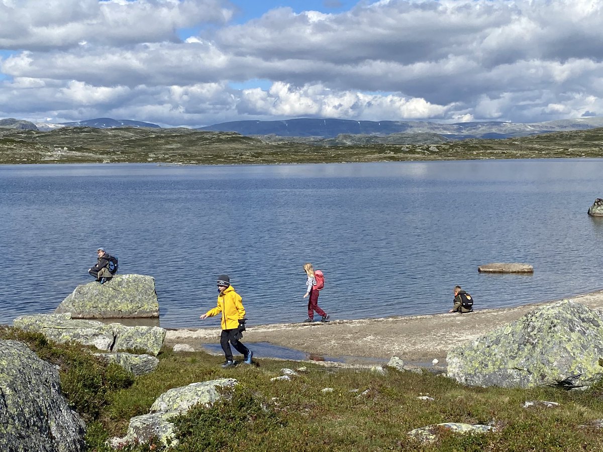Norwegian summer #Norway #Hardangervidda