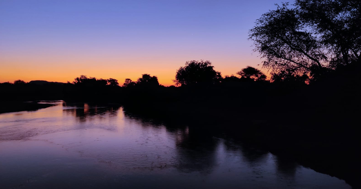 EcoTraining's tweet photo. #EcoTracker 14-day Course highlights!
Tracking with #EcoTraining Freelance Instructor Norman Chauke, up north in the beautiful #MakulekeConcession, #KrugerNationalPark
📷 Gregor Rohrig
Learn more about this course: https://t.co/aAc1QyMfw8 https://t.co/cWFrw8LNeP