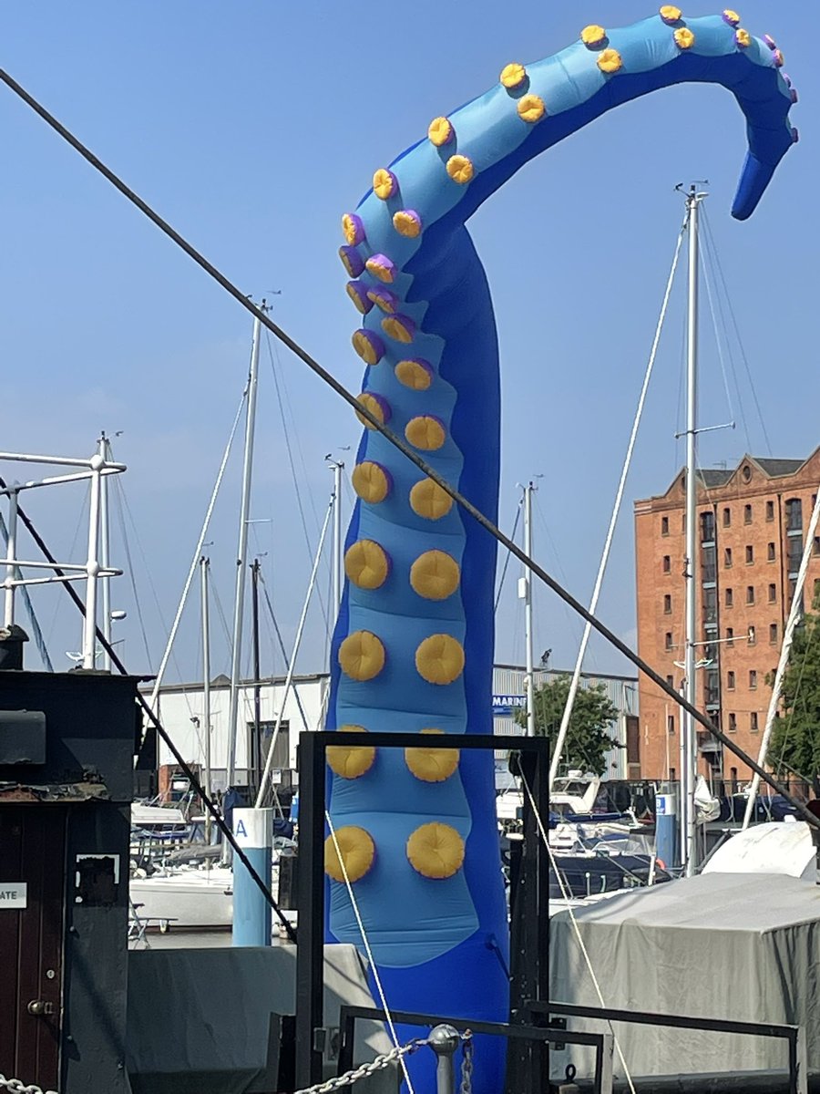 srgreen13's tweet photo. More spotted at Hull Marina !😱@HullMaritime @CEXHCC @HeritageFundUK @HeritageFundNOR #HullKraken https://t.co/h2Nzw26N83