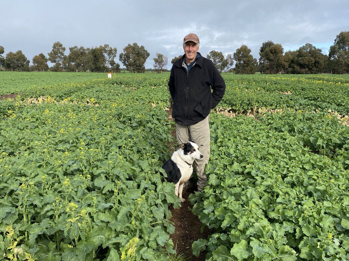 CaptainCanola's tweet photo. Great catch up with Col McKenzie & "Jet", Lake Bolac Vic 2021 @GorstRural Spring Canola Trial, reminiscing on 30 years of canola & how New Technology #Stacked XC & CT Products are the latest tools for OZ growers. @GorstRural @Ashtaty26 @PacificSeeds #QualityAdvice #MakingMoney https://t.co/uUcVxpBA49