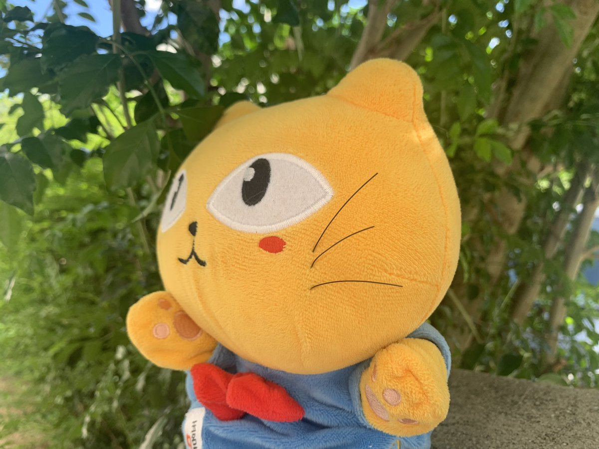 タマにゃん Tamanyanbot Twitter