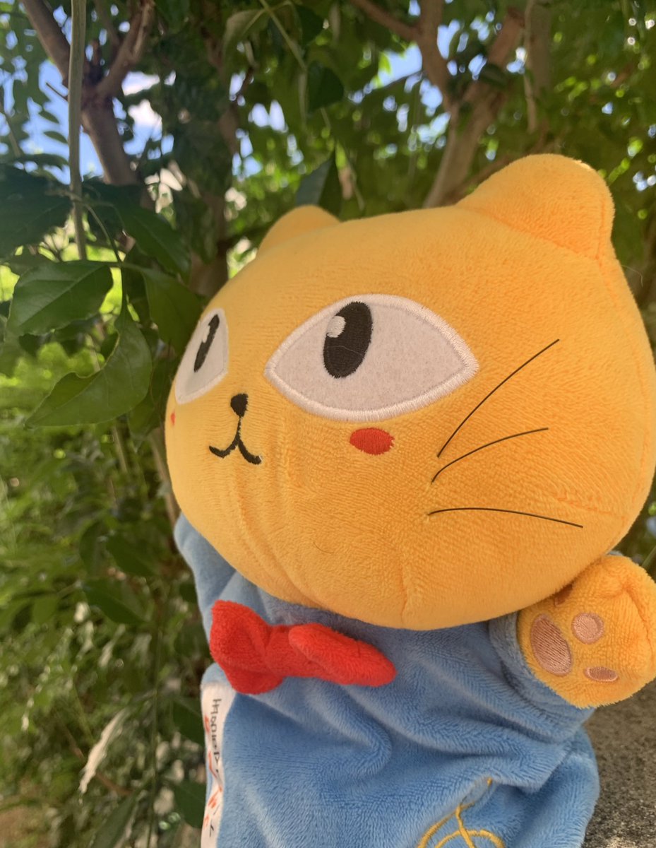 タマにゃん Tamanyanbot Twitter