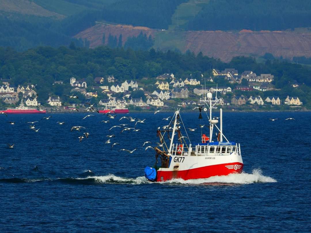 GaYna13's tweet image. #GuideUs #Ayrshire #Prawns 🍤🍤