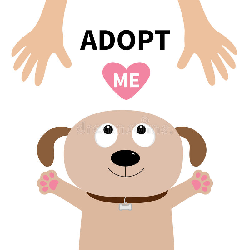 adespototoken's tweet photo. Good morning !!!
$ADESPOTO is going to the #Mars .. Too many coins to the #Moon
#adespoto #adoptapet #straysdogs #dogs #Crypto #BSCGems https://t.co/gqDfHNpuN6