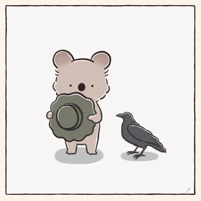 耳だけ日焼けしたコアラ 