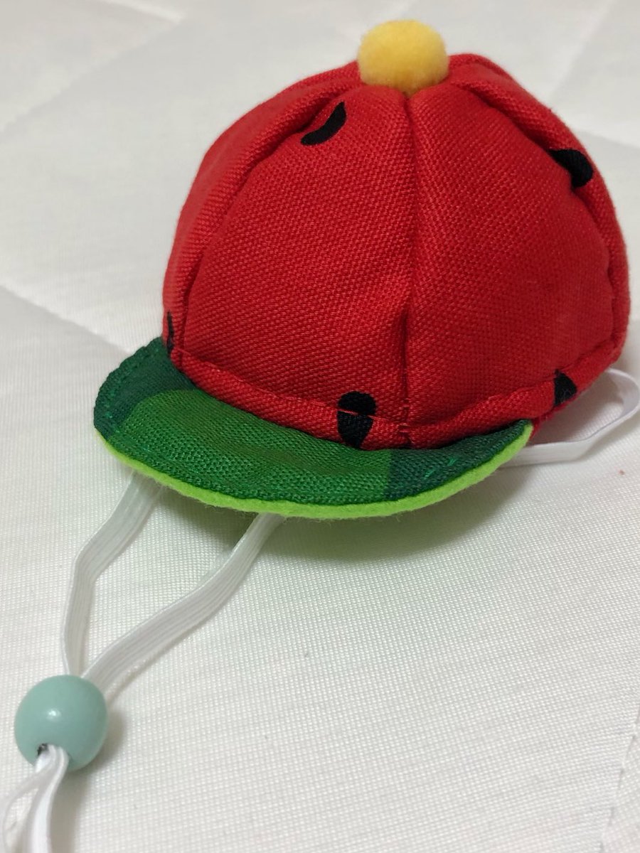 nakachan821028's tweet photo. スイカのお帽子🐶🍉なとぅにぴったり🏄‍♂️⤴️⤴️お友達がつくってくれたスイカ帽、最高にかわゆいっ！ありがとう😭💕
#cottie #スイカ #犬の帽子 #むぎ三 #チワズー https://t.co/Rkplrnyq1N