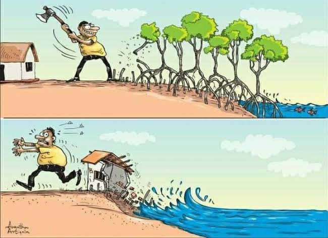 Still need more explanation as to why we need to plant more trees than cut them💀? 

Trees lessen the force of storms thereby the drastic effect floods have on land.
Let's support <a href="/ROOTs_Uganda/">ROOTs - #RunningOutOfTrees 🇺🇬↪️🟢</a> to plant more trees with a donation of 1500 shillings only.
#RunningOutOfTrees