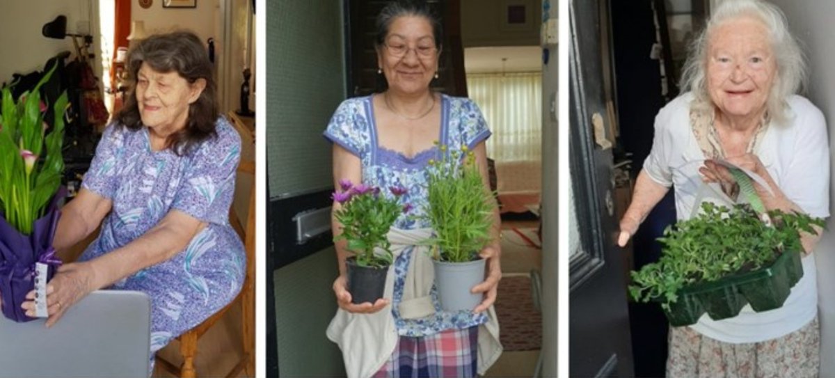 If <a href="/LASwark/">Link Age Southwark</a> can raise £6,000 by 23 August they will use the money to send a houseplant, a bunch of flowers or a garden plant to as many of their users as possible. Donate here and add 💐to the lives of some older people in our community: justgiving.com/campaign/linka… #BloomingLovely