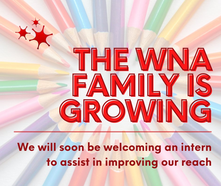 It's an exciting day! We are holding the first interviews for a summer intern who will join the team to help us reach more people across Wales affected by neurological conditions.