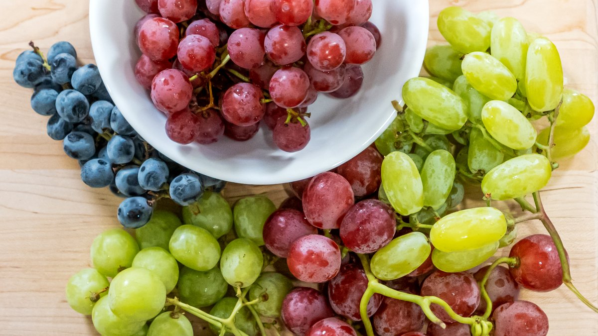 TheProduceGeek's tweet photo. NEW VIDEO - California Summer Grape Season Tips!

How do you select grapes? When is the best time of the year to enjoy USA grown snacking grapes? What are some of the varieties to keep an eye out for in August? These tips and more!

https://t.co/EHRkaYVAsE https://t.co/ZYhjOjPni4