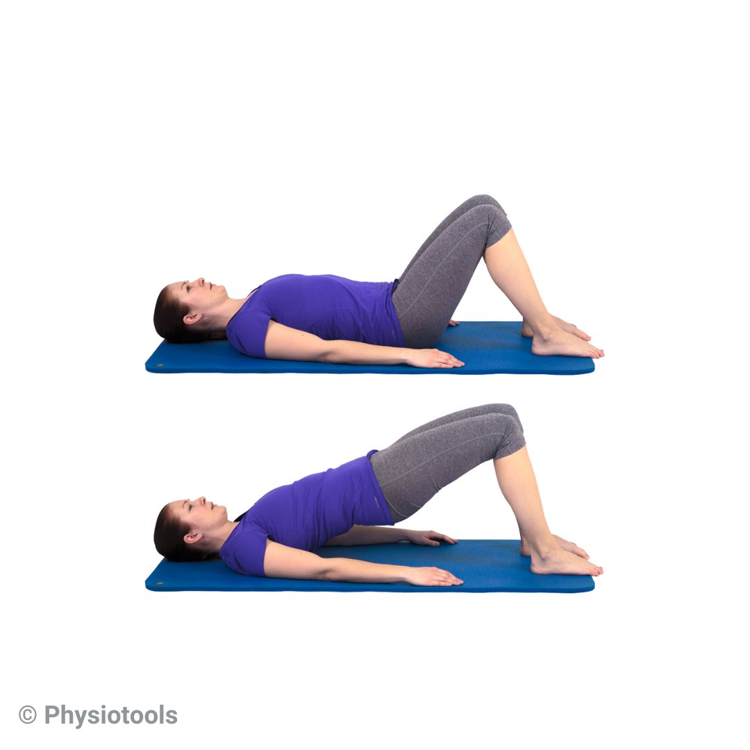 Physiotools tweet media