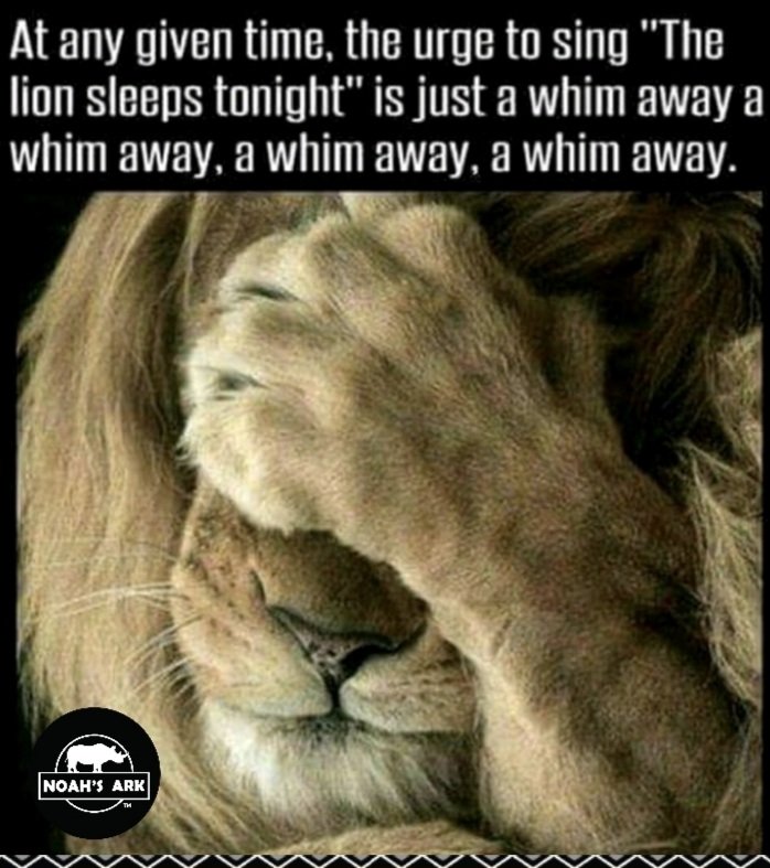 noahsarklife's tweet photo. Happy Wednesday...

Thanks for following Noah's Ark! Get Involved!!

[Visit Noah's Ark Website:]🔗
https://t.co/7bNDOBUKaG

#YouAreNoah #NoahsArkLife #HappyWednesday #NoahsArkProject #NoahsArkFoundation #GetInvolved #VisitOurShop #WeCare #Hpc⭐ #Rpc ⭐ https://t.co/QXauvFbDb7