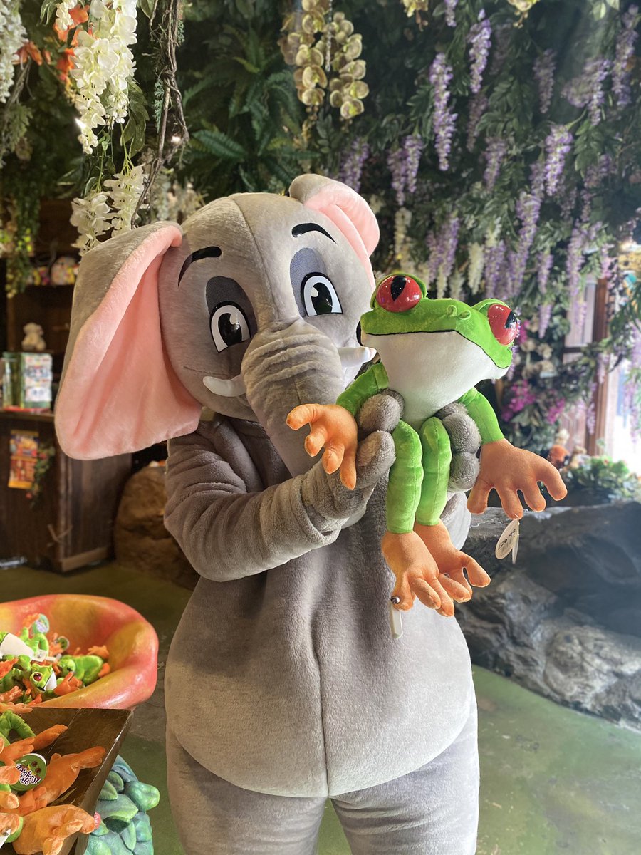 Have you met our famous friend Tuki 🌟 #rainforestcafelondon