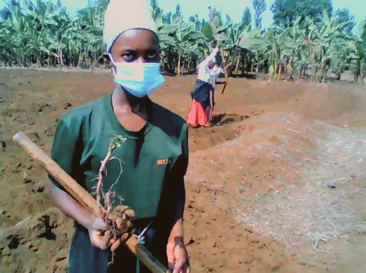 sansfotografie's tweet photo. @agriterra #agripooler day 3 Skype meeting @AgriterraRwanda #JyambereMuhinziKinoni, member of the @PotatoFpa, items are Land preperation, post harvest handling also (new) registration seedpotatoes @MUGISHADesire8 @JeanMuramira @CrynsPaul @3Mountains__ Also Verry good progress https://t.co/Ko8GbmSmjK