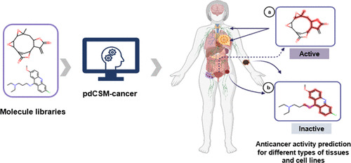 JCIM_JCTC's tweet photo. pdCSM-cancer: Using #GraphBased_Signatures to Identify Small Molecules with #AnticancerProperties  
https://t.co/ueud3oJjMp   
@DrDouglasPires @DrDavidAscher  
#current_issue #Chemical_Information https://t.co/kF7RFdOYne