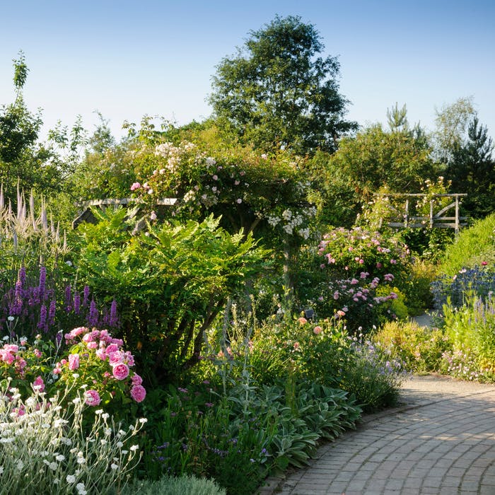 sixthingsonline's tweet photo. #TodaysStatelyHomeandGarden 👉 RHS Rosemoor - 65 acres of glorious greenery 🌹

RHS Garden #Rosemoor is a public display garden in north Devon, close to Great Torrington - it features a rose garden with about 2,000 rose plants🌹➡️ https://t.co/9ldf0gbXYo https://t.co/7muuGiYOZU