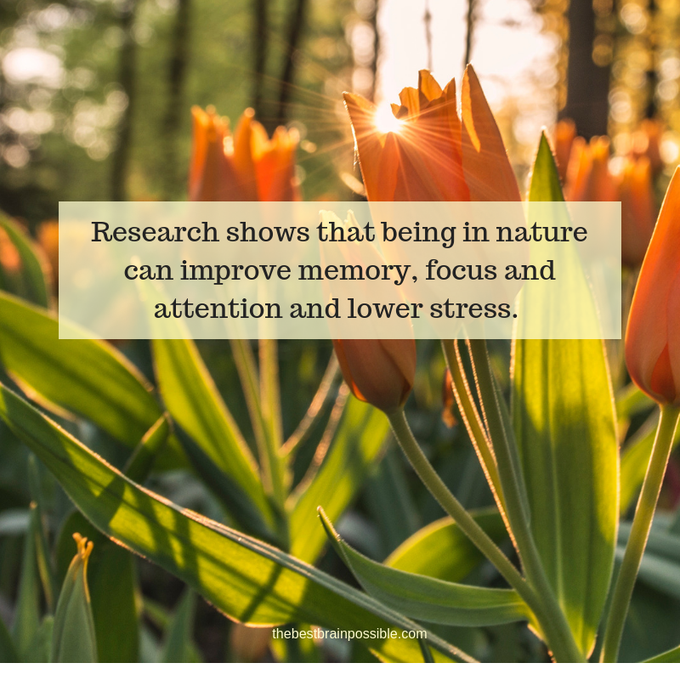 dlhampton's tweet photo. After just an hour of interacting with nature, memory and attention span improved by 20%. 

Your brain needs vitamin N (nature) https://t.co/MJJQFeIOxW  

#nature #mentalhealth #depression #anxiety #brain #Wednesdaymorning #Wednesdaywisdom #health #brainhealth #Wednesdaythoughts https://t.co/NAvJgqH5Si