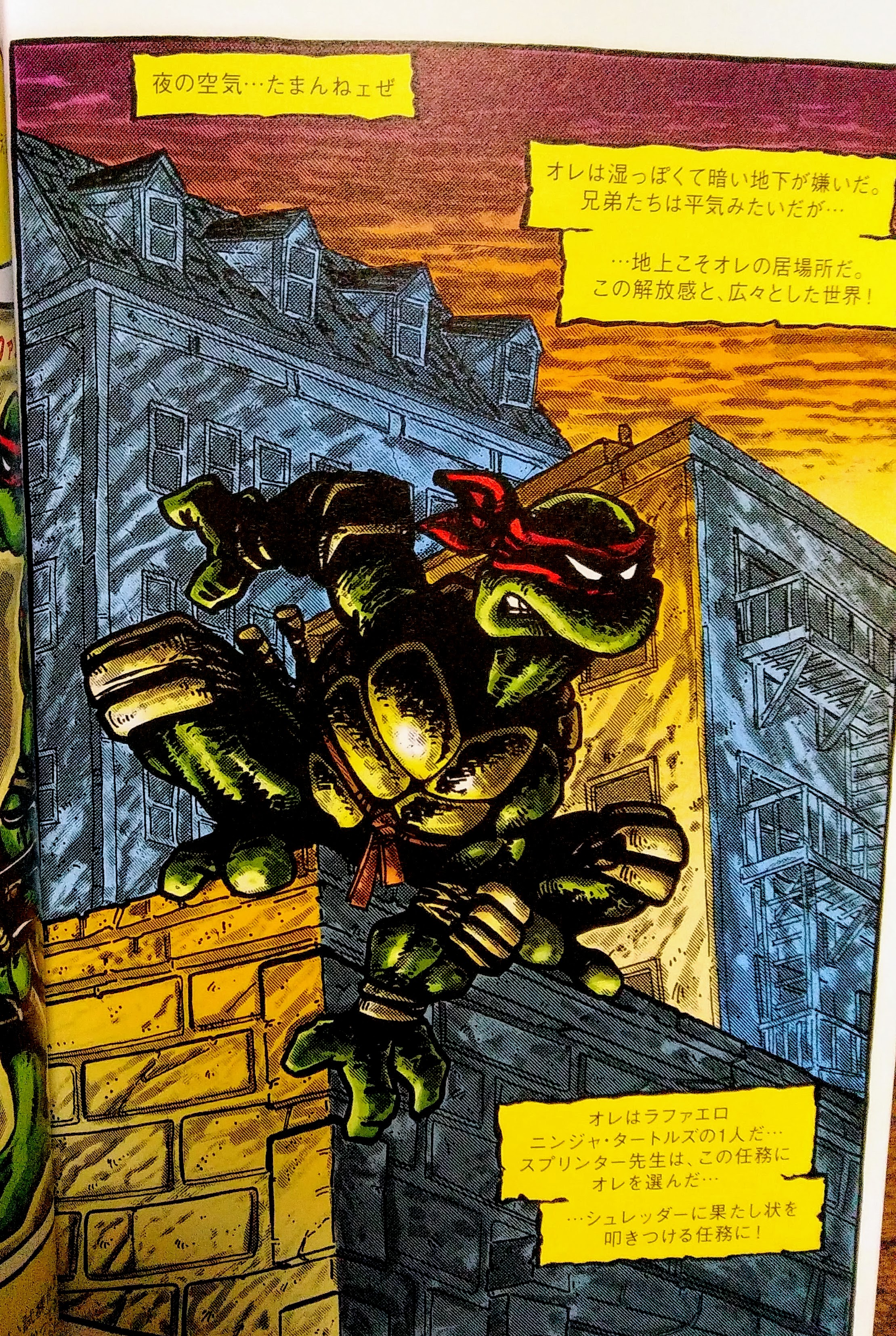 ラリアット 好きなアメコミを語る ミュータントタートルズ クラシックコレクション アニメや映画でおなじみのtmntの原典シリーズが初邦訳 原典となったコミックだが後の作品と比べてハードでダークな色が強い だけどこの時点で他とは一線を画すある