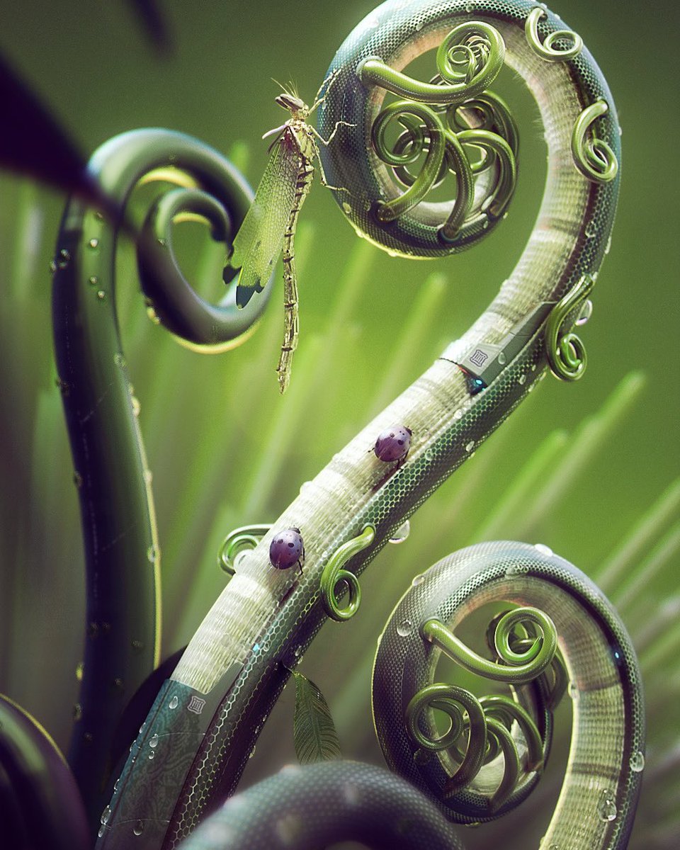 OriginalsCrypto's tweet photo. F1 in the ferns 

Creator @dexamol 

Auctioning @makersplaceco 

A rare glimse of a golden F1 among the synth ferns.
#nfts #nft #digitalart #art #cryptoart #l #raredigitalart #ethereum #artoftheday #cryptoartist #blockchain #contemporaryart #instagood #animation #modernart https://t.co/IUh60l5LCp