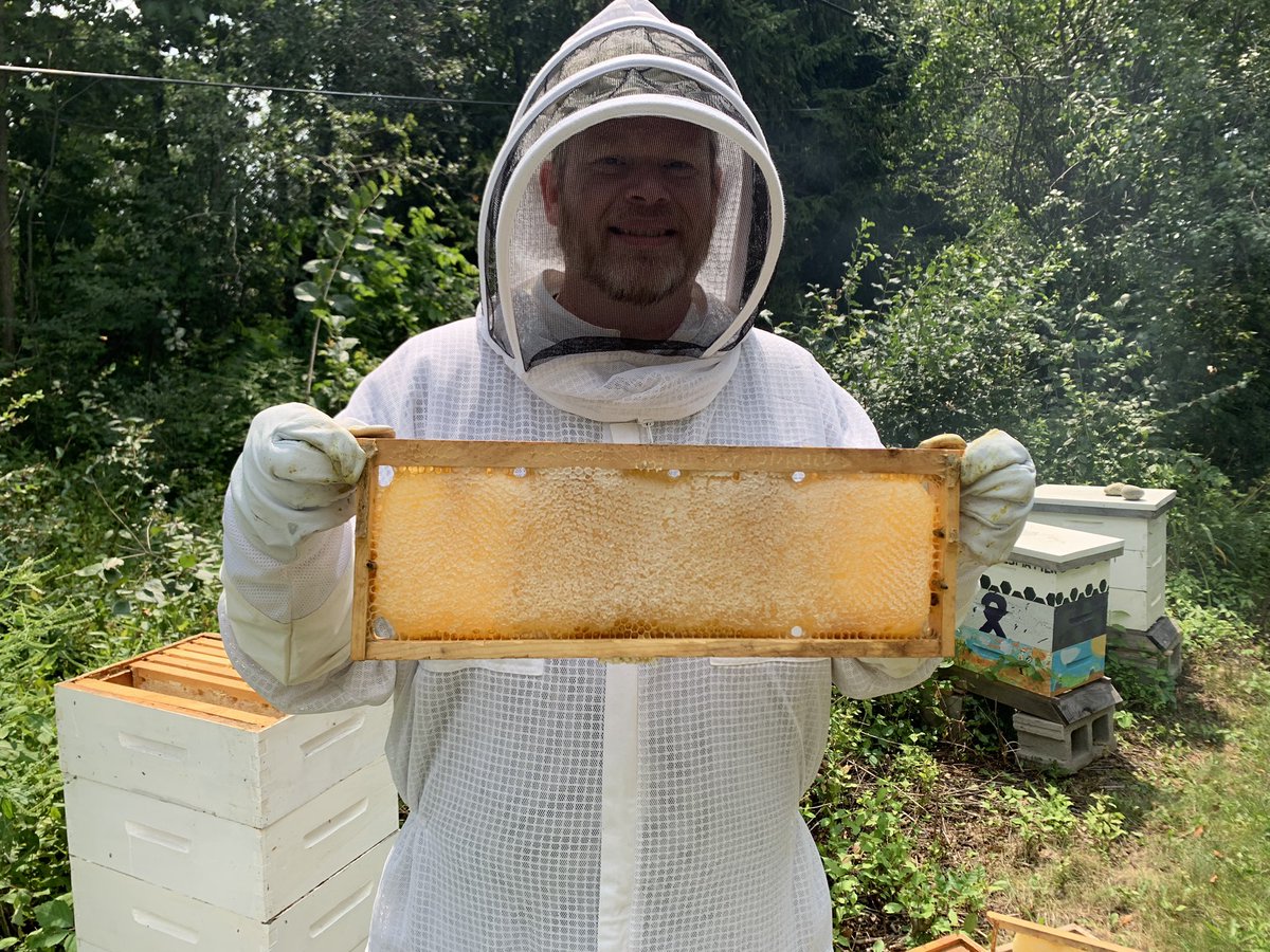 beepresenthoney's tweet photo. Honey frames.  We don’t use foundation so when they build it out straight it’s real pleasure! We have some beautifully capped frames from our apiary.
#bee #bees #beeswax #honey #honeybees #honeycomb #🍯 #foundationless  #bph #🐝#beepresenthoney #beekeeper # https://t.co/b939D1kDoG