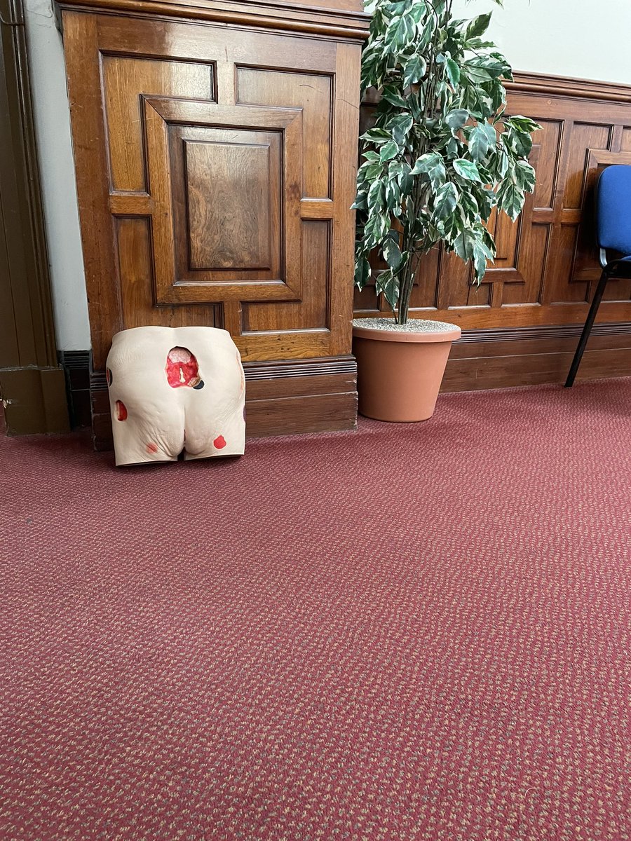 Seymour has been out on tour this morning …..can you guess where? #pressureulcerpreventiontraining #woundassessment