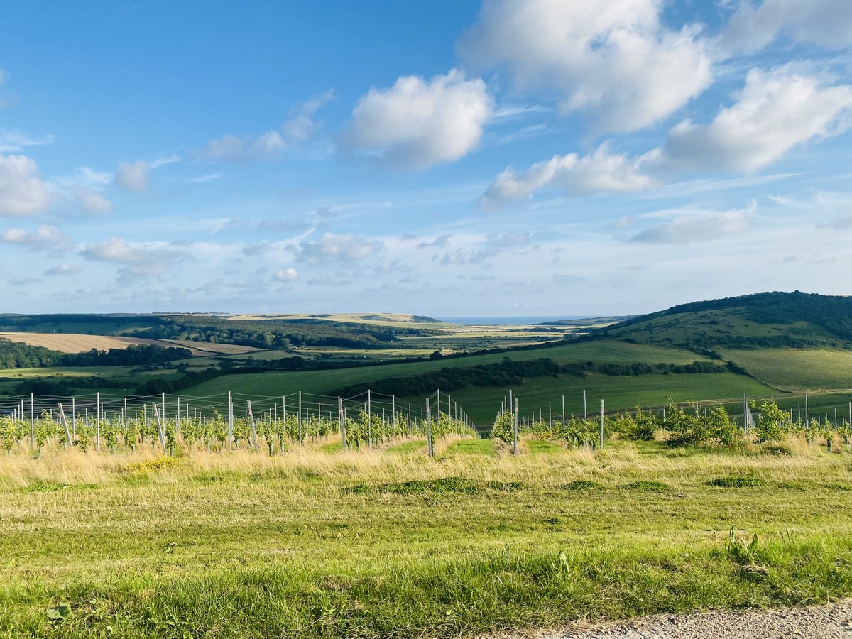 marcthevet's tweet photo. Few more pics of #SevenSisters & #CuckmereValley. Bottom right taken from up on @RathfinnyEstate. With staycations on rise, really can't recommend this part of the world enough for walking, breathtaking views, plus loads of nature & wildlife. #Sussex https://t.co/N3shHqEvPL