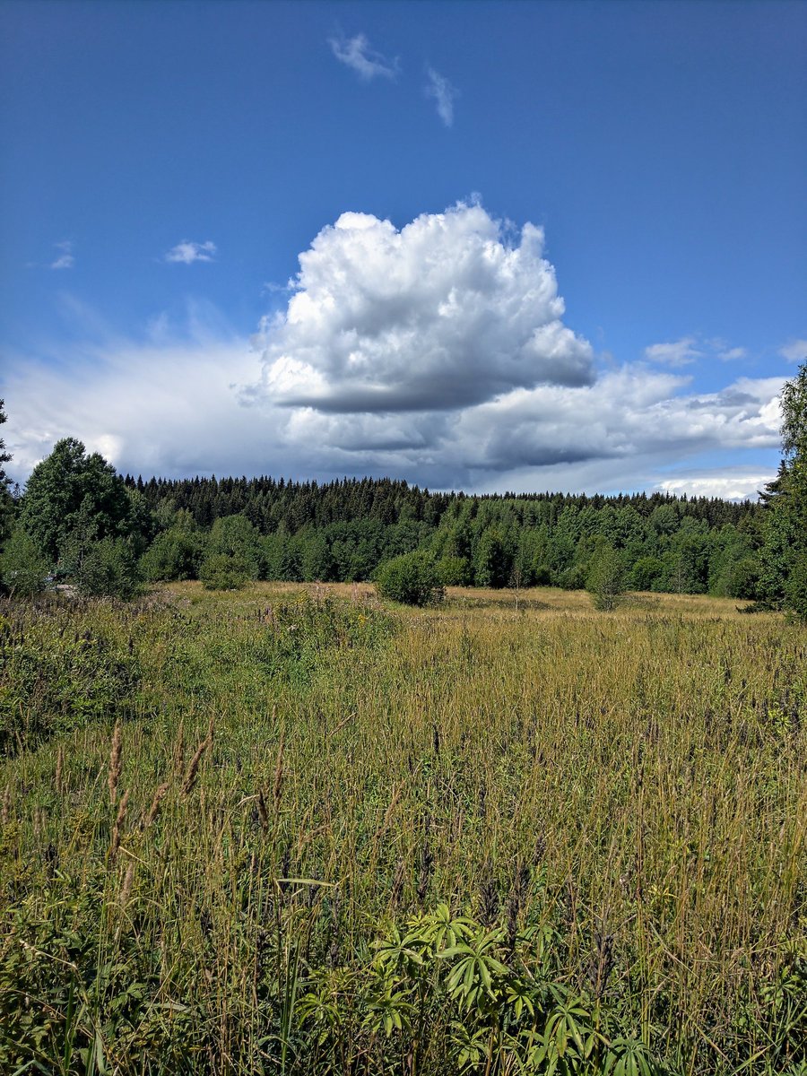 LauraLate's tweet image. Upea #pilvi näkyi taivaalla, kun lenkkeilin. #sää @YleSaa #elokuu