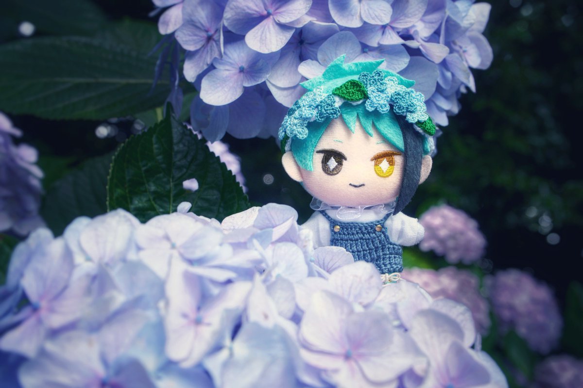 AZ5938's tweet photo. また来年も逢いに来てくださいね❁︎

#ツイステぬい撮り部 https://t.co/HeU4TCnv4e
