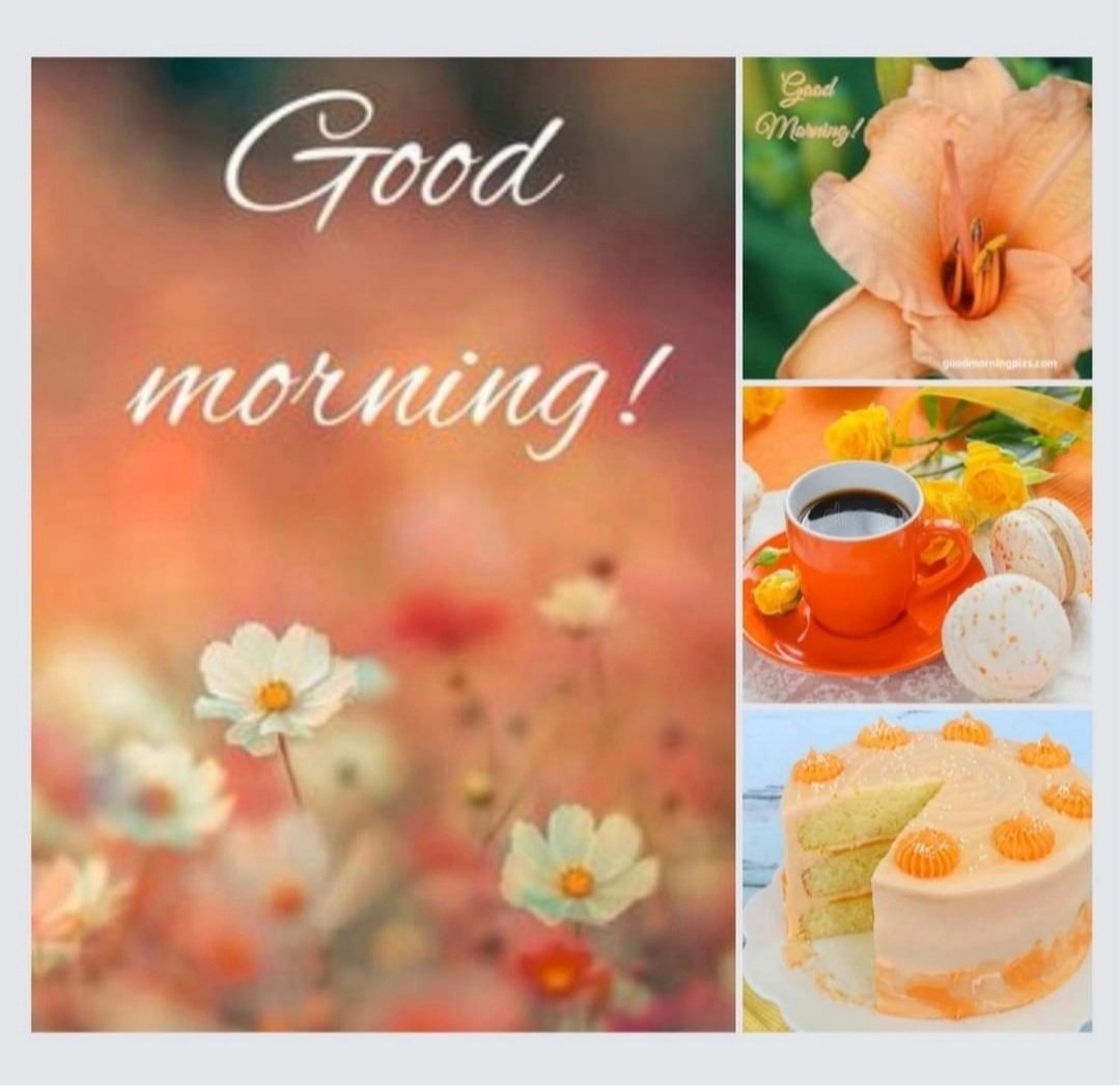 CSprite3's tweet image. Good morning everyone☀️ Wednesday is a present for we made it to another day. You have a purpose in this world for today. Make someone's smile or to just give someone a lending hand. Touch lives and they will enrich yours. Your future is in your hands. Have a wonderful day😊🌸❤