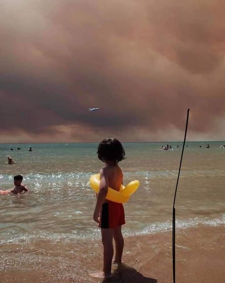 dwallacewells's tweet image. An instantly iconic climate image from Turkey.