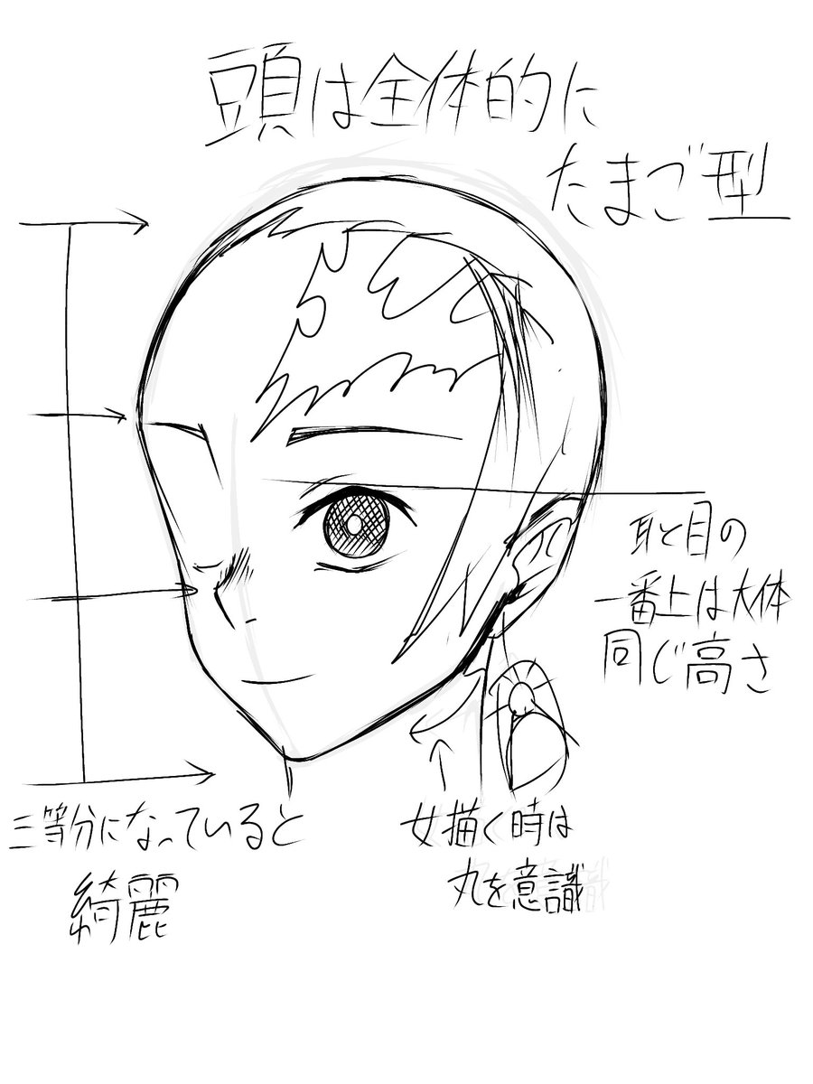 割とこれ意識するだけで
良い感じに人描けるからおすすめ
最初たまご描くとやりやすい 