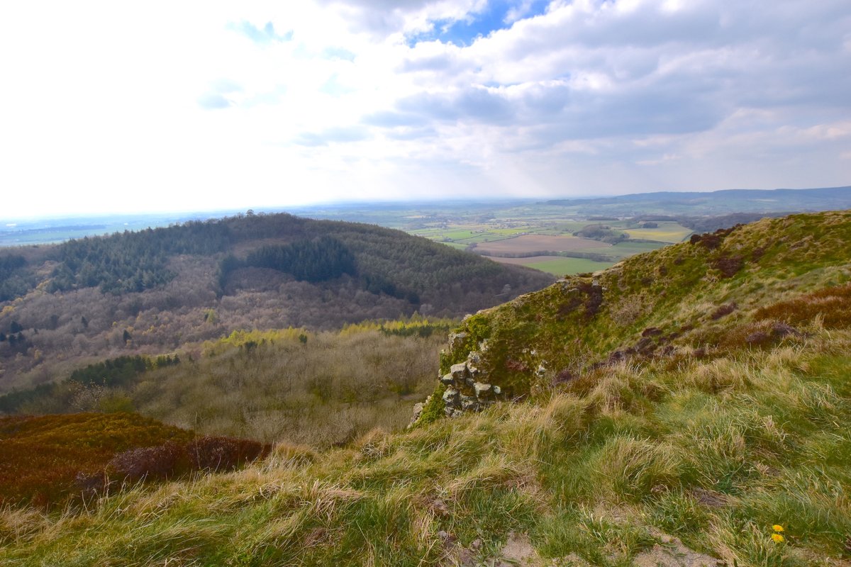 OmniPods's tweet image. Situated just 1 mile from the coastline, and on the doorstep of the North York Moors, there is so much to see and do from our #FeaturedSiteOfTheWeek, Cayton Village.

🌲🌊🍦🛶🏰

There are just a few ideas in the blog below 👇

omnipodsandcabins.co.uk/blog/cayton-vi…