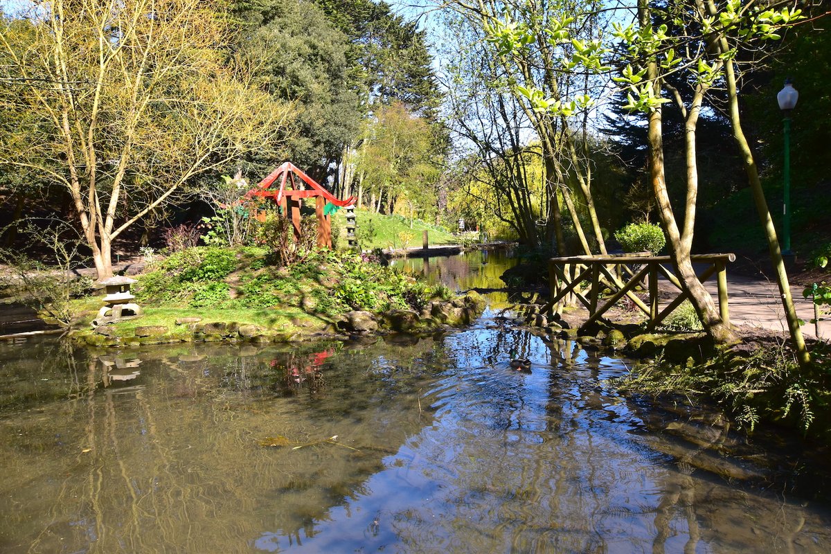 OmniPods's tweet image. Situated just 1 mile from the coastline, and on the doorstep of the North York Moors, there is so much to see and do from our #FeaturedSiteOfTheWeek, Cayton Village.

🌲🌊🍦🛶🏰

There are just a few ideas in the blog below 👇

omnipodsandcabins.co.uk/blog/cayton-vi…