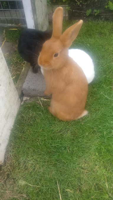 @teasuz_pleazus Got em right here 😎 https://t.co/wfCHoJ8kMA<a class="tags" target="_blank" title="On Twitter" href="/?out=eyJ0eXAiOiJKV1QiLCJhbGciOiJIUzUxMiJ9.eyJpYXQiOjE3MjYzMDA1NDgsImlzcyI6InR3cG9ybnN0YXJzLmNvbSIsIm5iZiI6MTcyNjMwMDU0OCwiZXhwIjoxNzU3ODM2NTQ4LCJyZWRpcmVjdF91cmwiOiJodHRwczovL3R3aXR0ZXIuY29tL3RlYXN1el9wbGVhenVzIn0.ZW2vvP_iy1GYUvZLUp38EIKGS5KJrVZ-nLMFq5b6RoFiMxKaWKmpfuKv28UhOrD2dAuas4_EAHbFzf1YHUMWOg">@teasuz_pleazus</a>