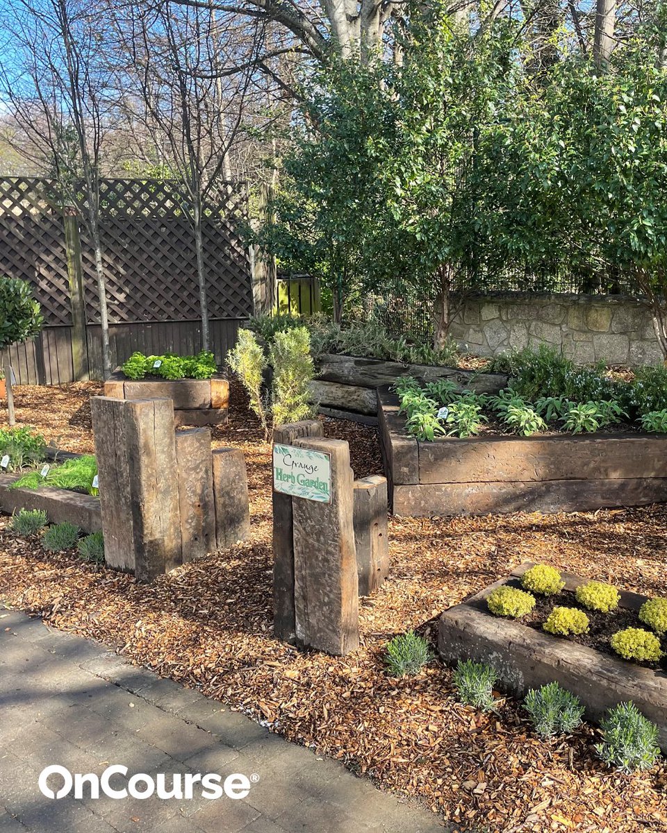 In Ireland 🇮🇪 <a href="/GrangeGolfClub1/">Grange Golf Club</a> have built a herb garden and an allotment plot where fruit and vegetables are grown.

The produce provides chefs with fresh and organic ingredients, and the volunteer-led project engages the community too ✅