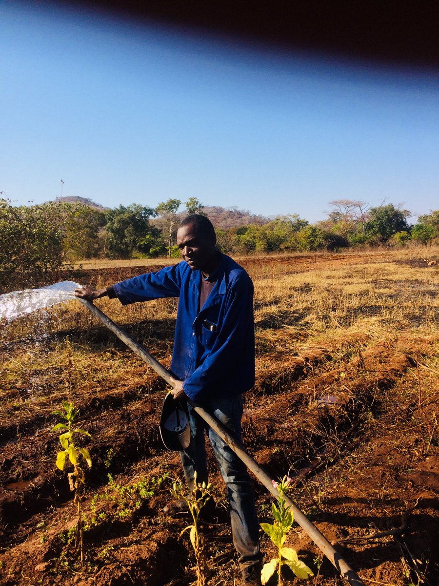 Something happening now