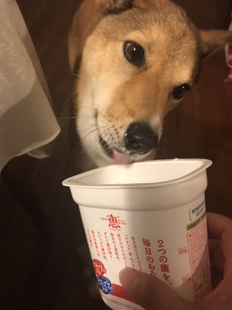 レスキューレメディー Twitter Search