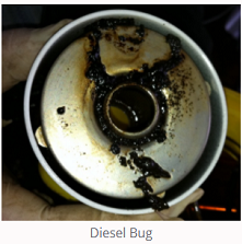 MarShipUK's tweet photo. Solving YOUR diesel problems is OUR business.  If you'd like advice on how to maintain your diesel - give us a call ☎ 0044 (0) 1666 818 791 or checkout our products page:  https://t.co/I5SAsjw0W6
#fuelmanagement #cleandiesel #dieselbug #dieselproblems #marine #skipper #chiefeng https://t.co/aBlbkfJle0