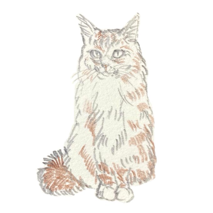 動物スケッチのTwitterイラスト検索結果。
