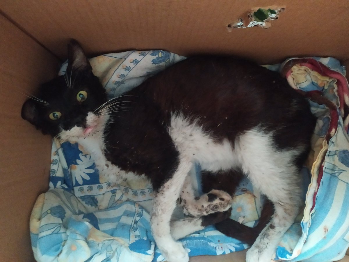 Bu zor günlerde yardım istemekten utanıyorum ama ilacımız kalmadı. Rıfkı'nın karnındaki şişlik inmiyor ve artık ilaç da alamayacağımız için tedaviyi sonlandırmak zorunda kalabiliriz. Rıfkı hep yaşamak isteyen bir çocuk oldu ama bizim çabamız maalesef yetmiyor. Lütfen yardım edin