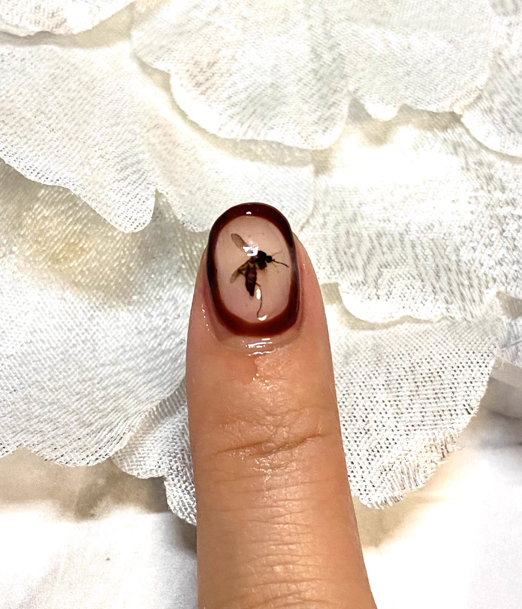 オリジナリティが溢れすぎてすげぇ。「私の血を吸った蚊をネイルにして閉じ込めてもらいました。」