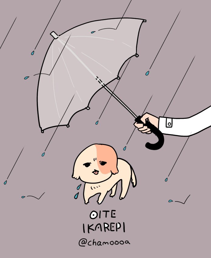 umbrella simple background holding rain twitter username grey background holding umbrella  illustration images