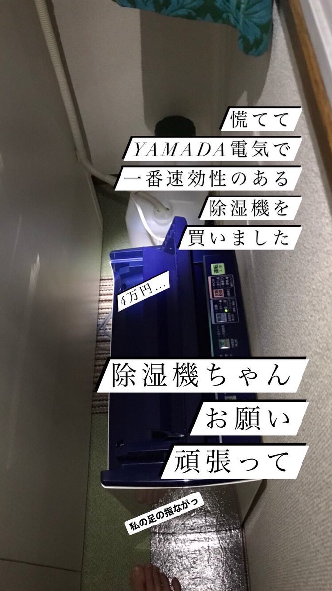 夏場のクーラー気をつけよ。
お部屋が大惨事！ドレーンホースを室内に入れてる防音室住民の皆さま💁‍♀️
こちらクーラーの水のチェックを怠った者の末路です🤫笑うしかないw
タンクが見えづらい位置にある方は今の時期は毎日水捨てましょう🥲
#セフィーネNS#洪水#カビが怖い
