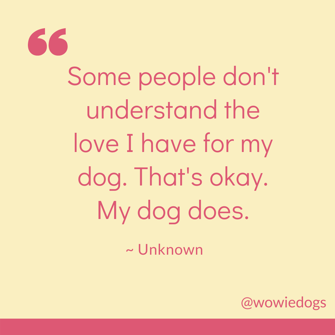 wowiedogs's tweet photo. And it is so much love!! 🥰 💛 🐶
🐾
#doglove #gooddog #quotes #dogquotes #quotestoliveby #dogs #quotesdog #wowiedogs https://t.co/whkWBDC4H1