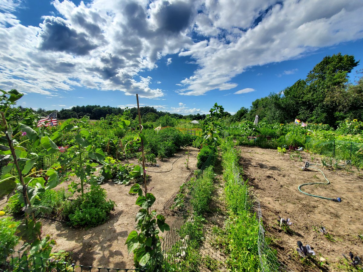 This sky over Amesbury Community Gardens 😍 #AmesburyMA