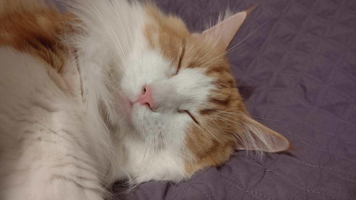 ぽっぽぽっぽ言って追いかけてくる二尺様 