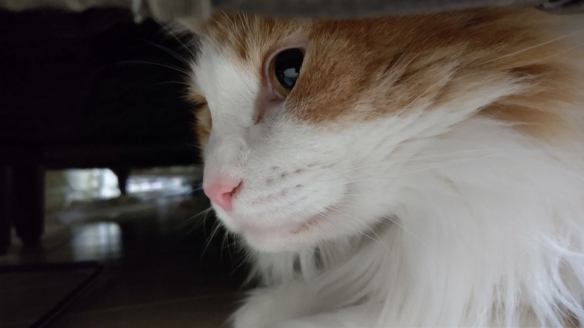 ぽっぽぽっぽ言って追いかけてくる二尺様 