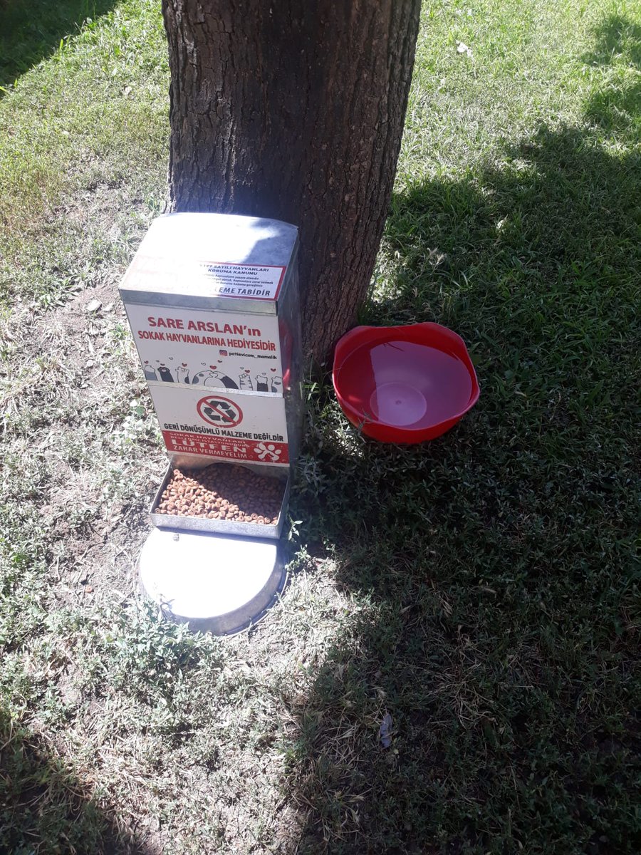 Bugünümüzün beslemeleri tamam 🐾 bu sıcak havalara sadece biz değil, kedi dostlarımız da dayanmak zorunda ☀️ sizlerin de desteği ile onlara su ve mama verebiliyoruz, eğer destek çıkmak isterseniz  ormanamama.com/kampus-patileri linkini kullanabilirsiniz 🐱