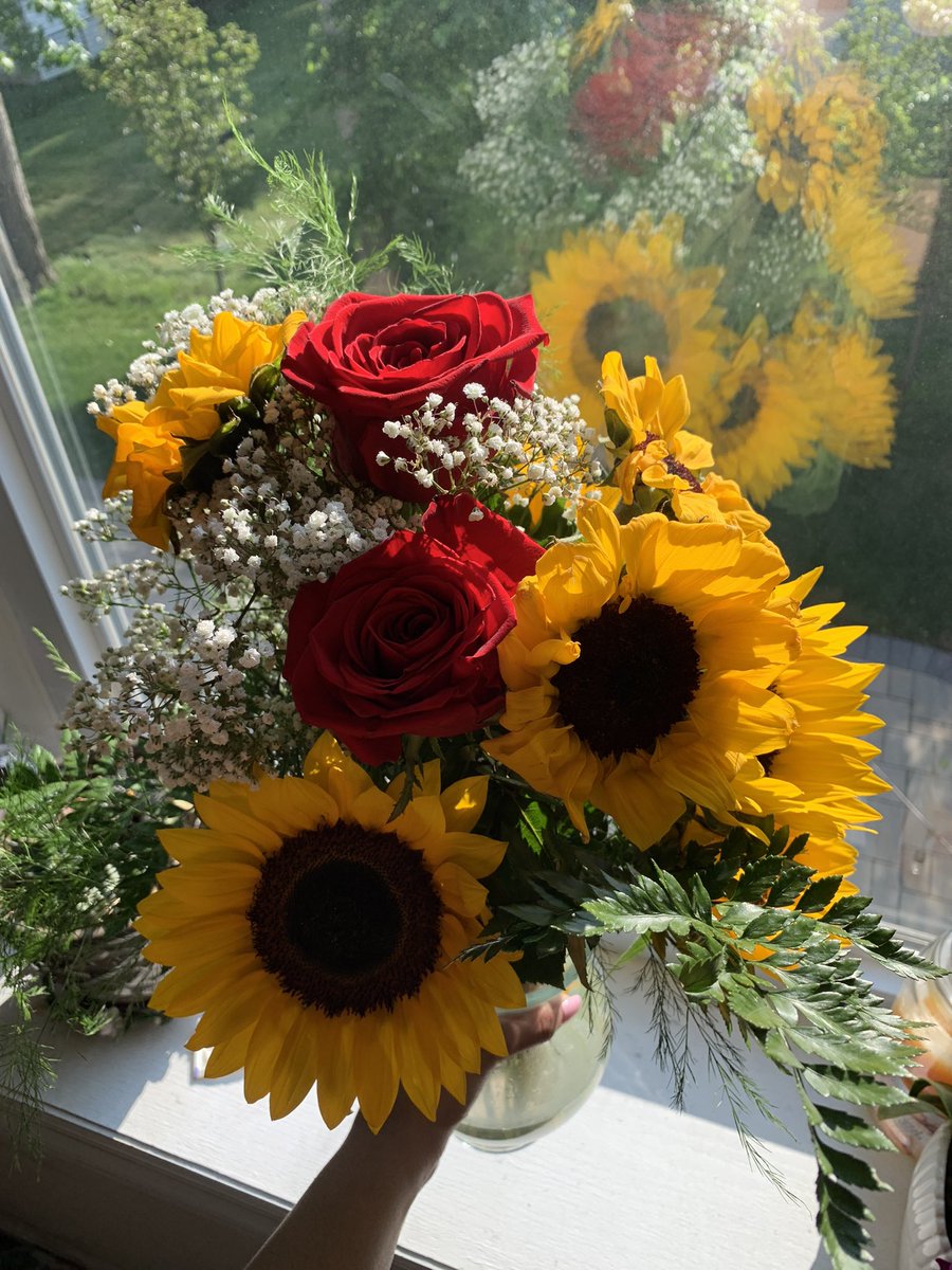 bansarip17's tweet photo. i cant get over how pretty these are https://t.co/YDLOp8UpIc