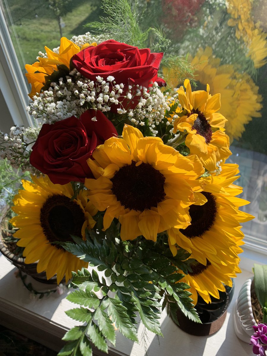 bansarip17's tweet photo. i cant get over how pretty these are https://t.co/YDLOp8UpIc